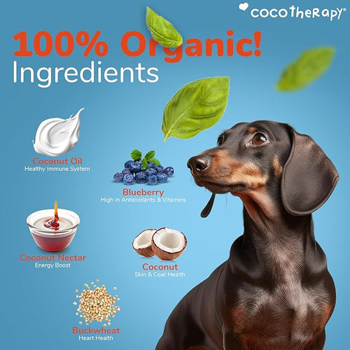 Coco Therapy Coco Charms Blueberry Cobbler for Dogs 5oz