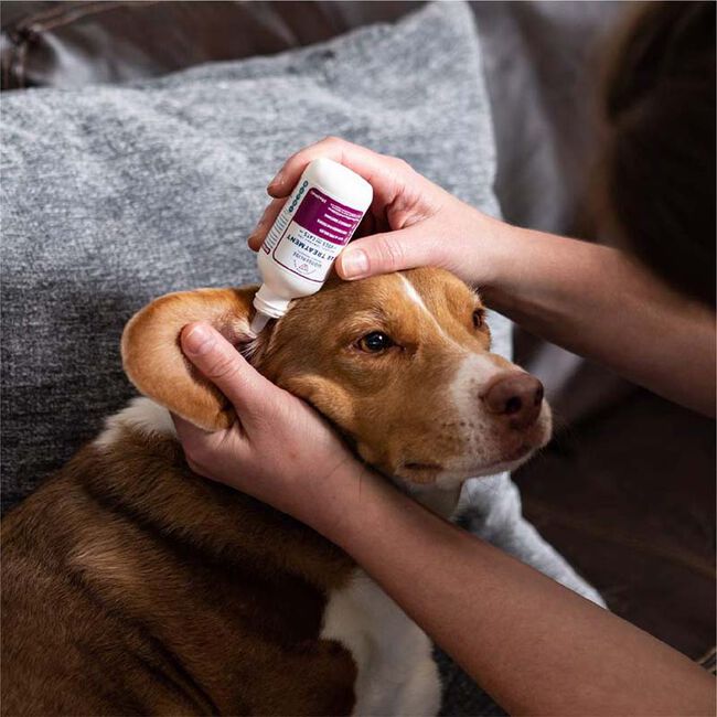 Wondercide Natural Ear Treatment for Dogs & Cats with Natural Essential Oils 2 oz