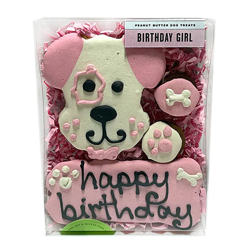 Bubba Rose Birthday Box Set Pink for Dogs