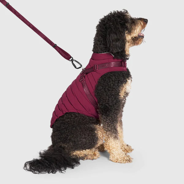 Canada Pooch Harness Puffer