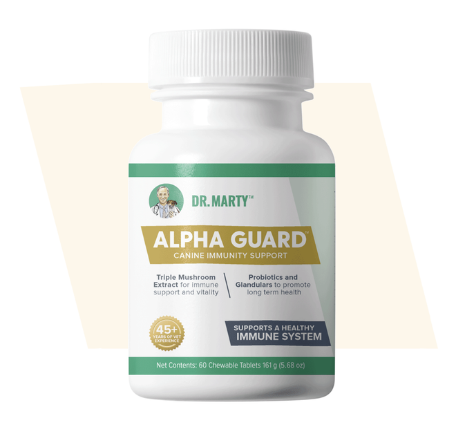 Dr. Marty Alpha Guard Chewable Supplements