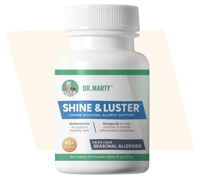 Dr. Marty Shine & Luster Chewable Supplements