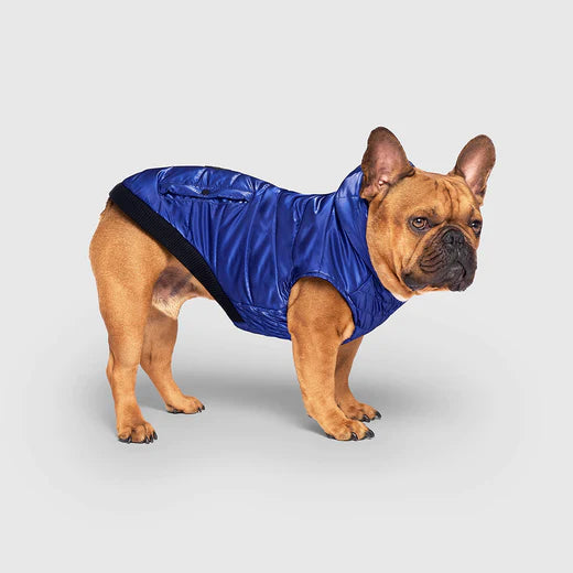 Canada Pooch Shiny Puffer Vest