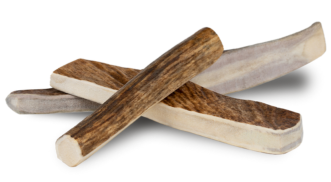 Primal Split Moose Antler Chew for Dogs