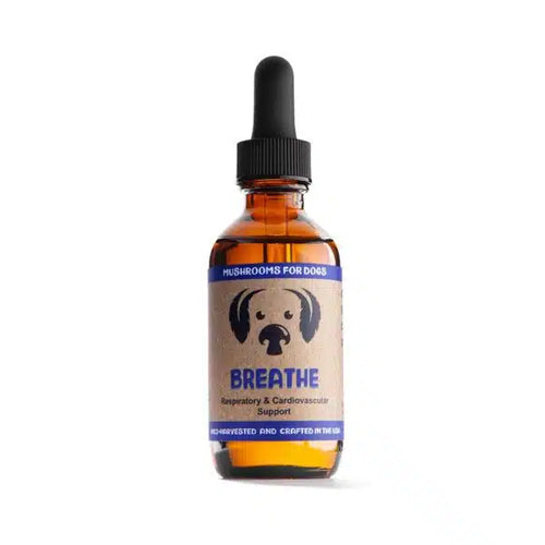 BREATHE Mycodog Mushroom Extract Tincture